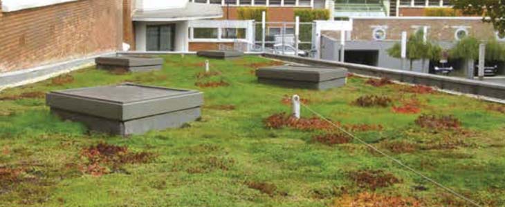 parois opaques végétalisation du bati existant