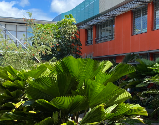 Végétalisation et bâtiments en climat tropical