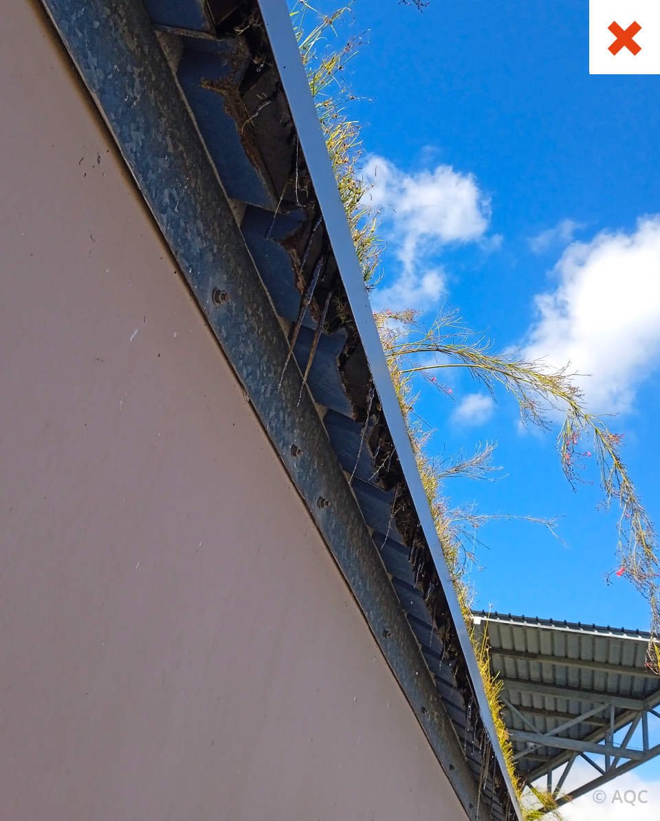 L'eau déborde de la toiture végétalisée à cause d'une fuite